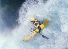 中国体彩网-卡迪夫城主场惊现老鼠突袭赛场！运营主管坦言，36年职业生涯首次目睹